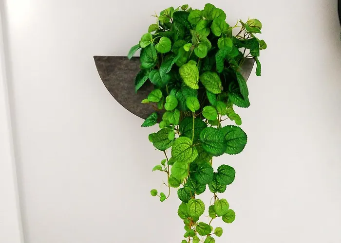 Nlc & Bed & Breakfast Lisbon